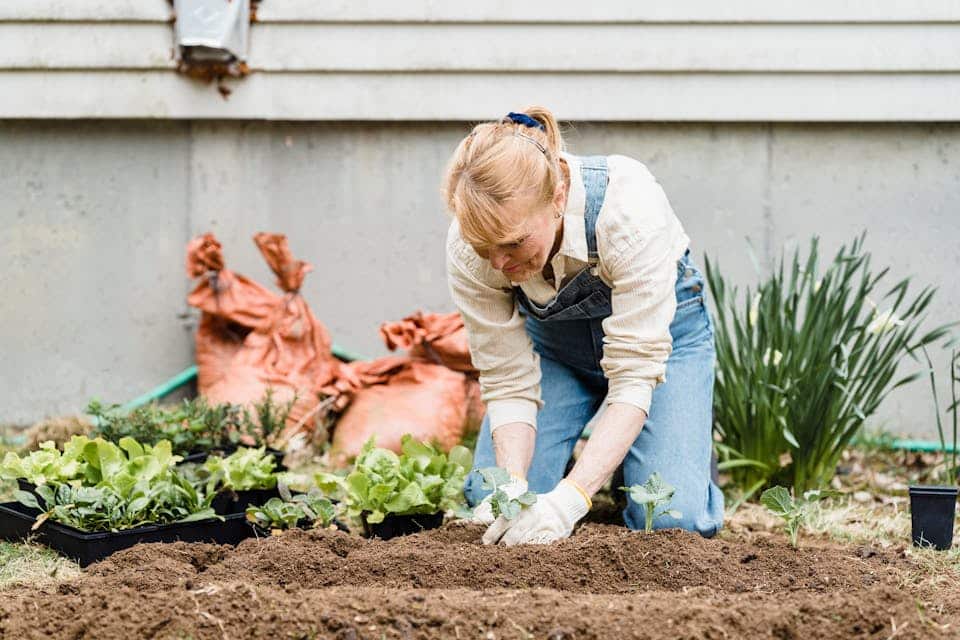 Les outils essentiels pour creuser la terre : guide complet | Espace Zen